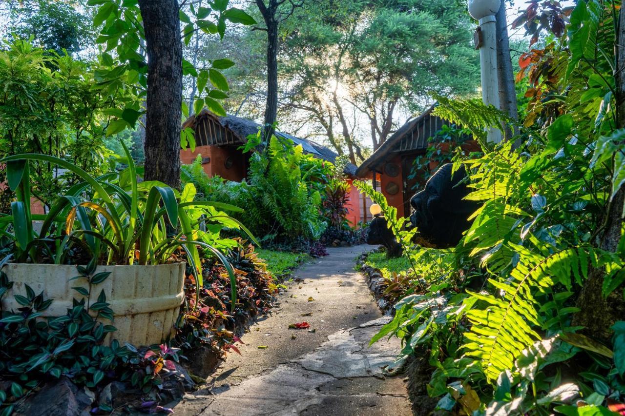 Victoria Falls Backpackers Lodge Екстериор снимка