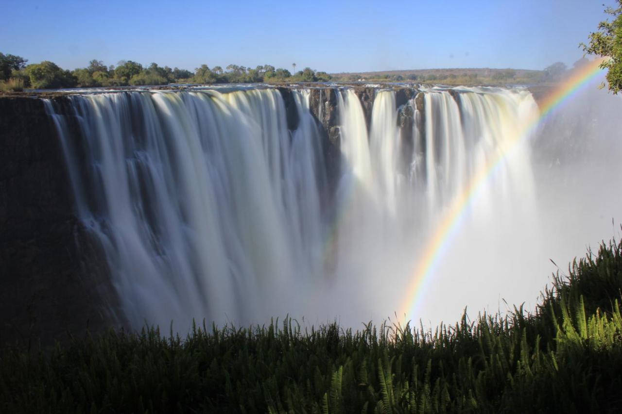 Victoria Falls Backpackers Lodge Екстериор снимка