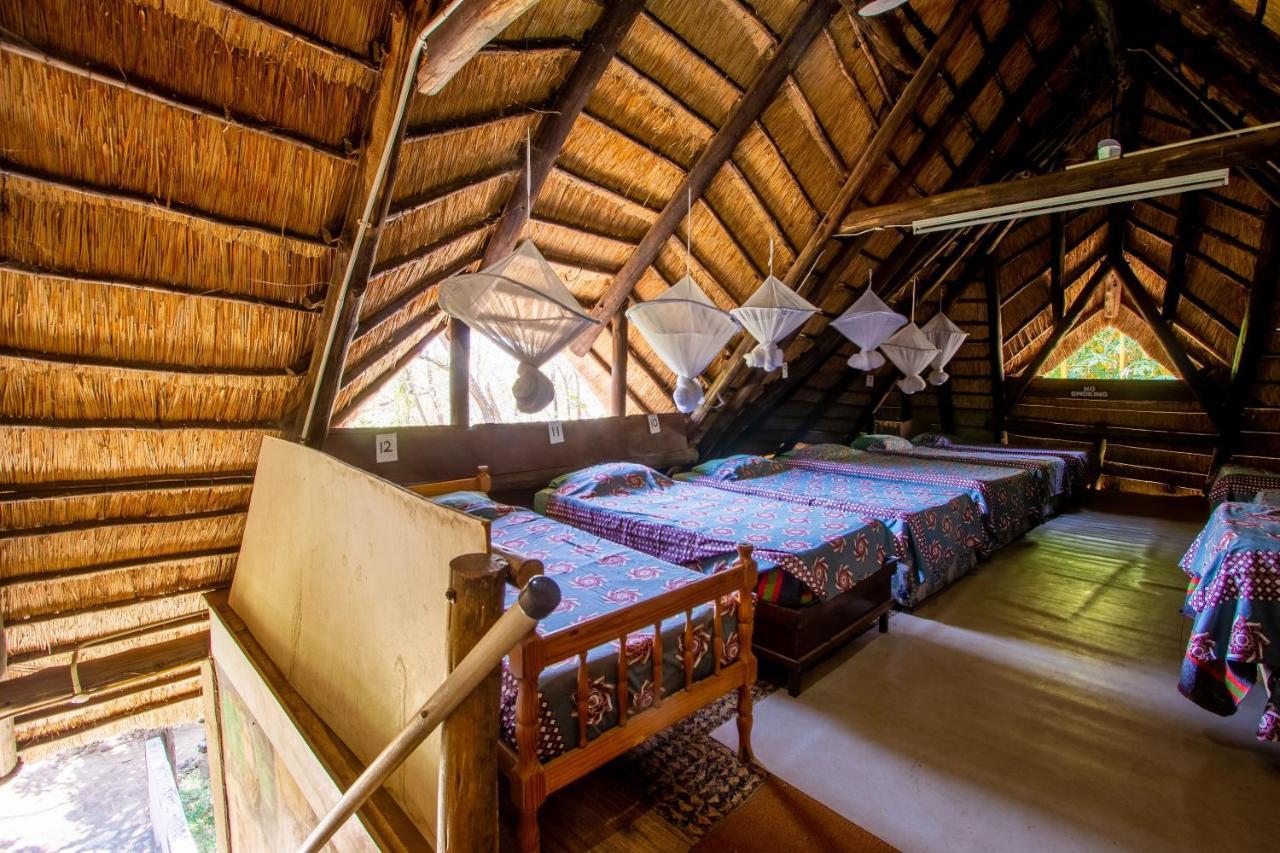 Victoria Falls Backpackers Lodge Екстериор снимка