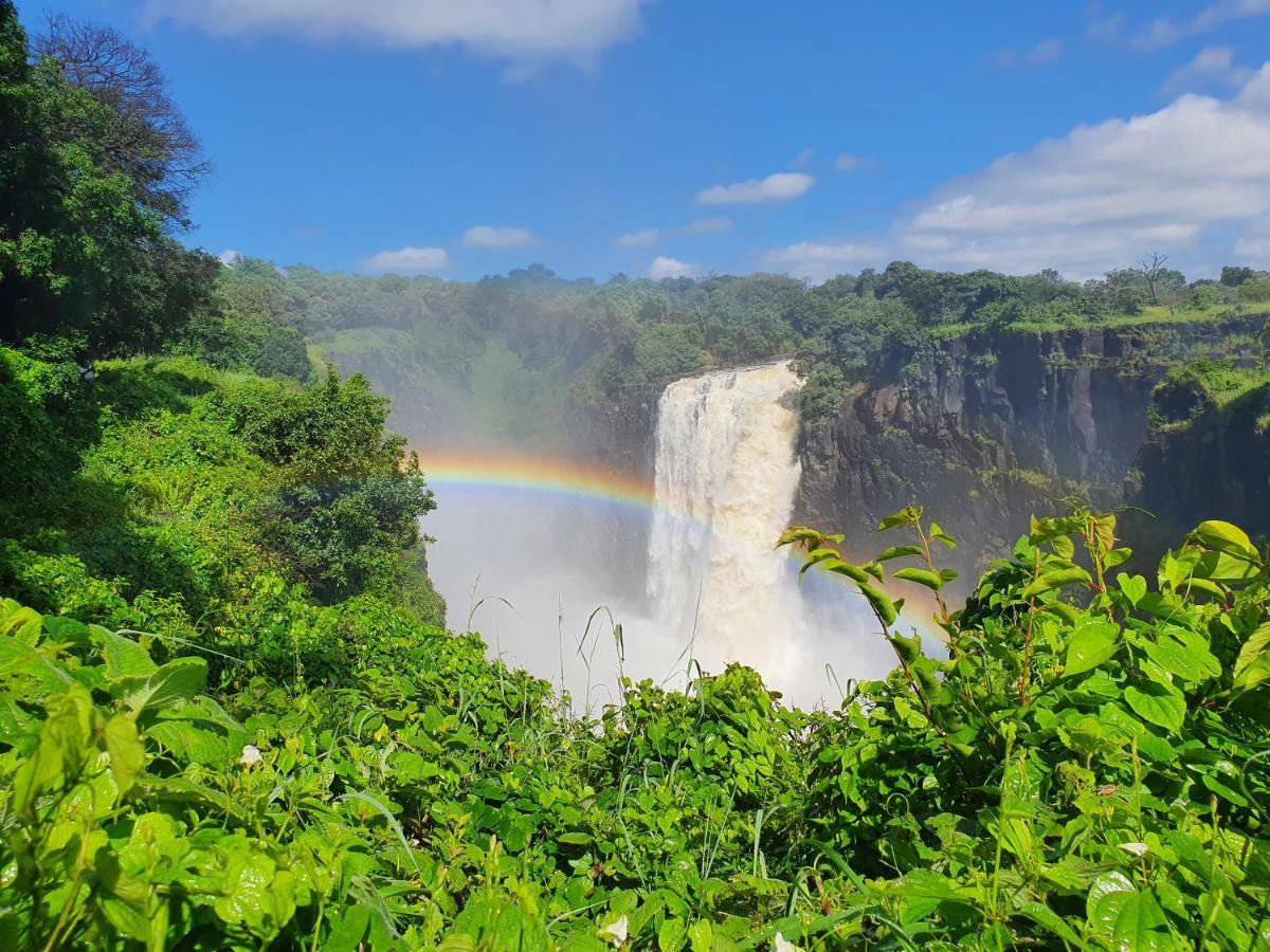 Victoria Falls Backpackers Lodge Екстериор снимка