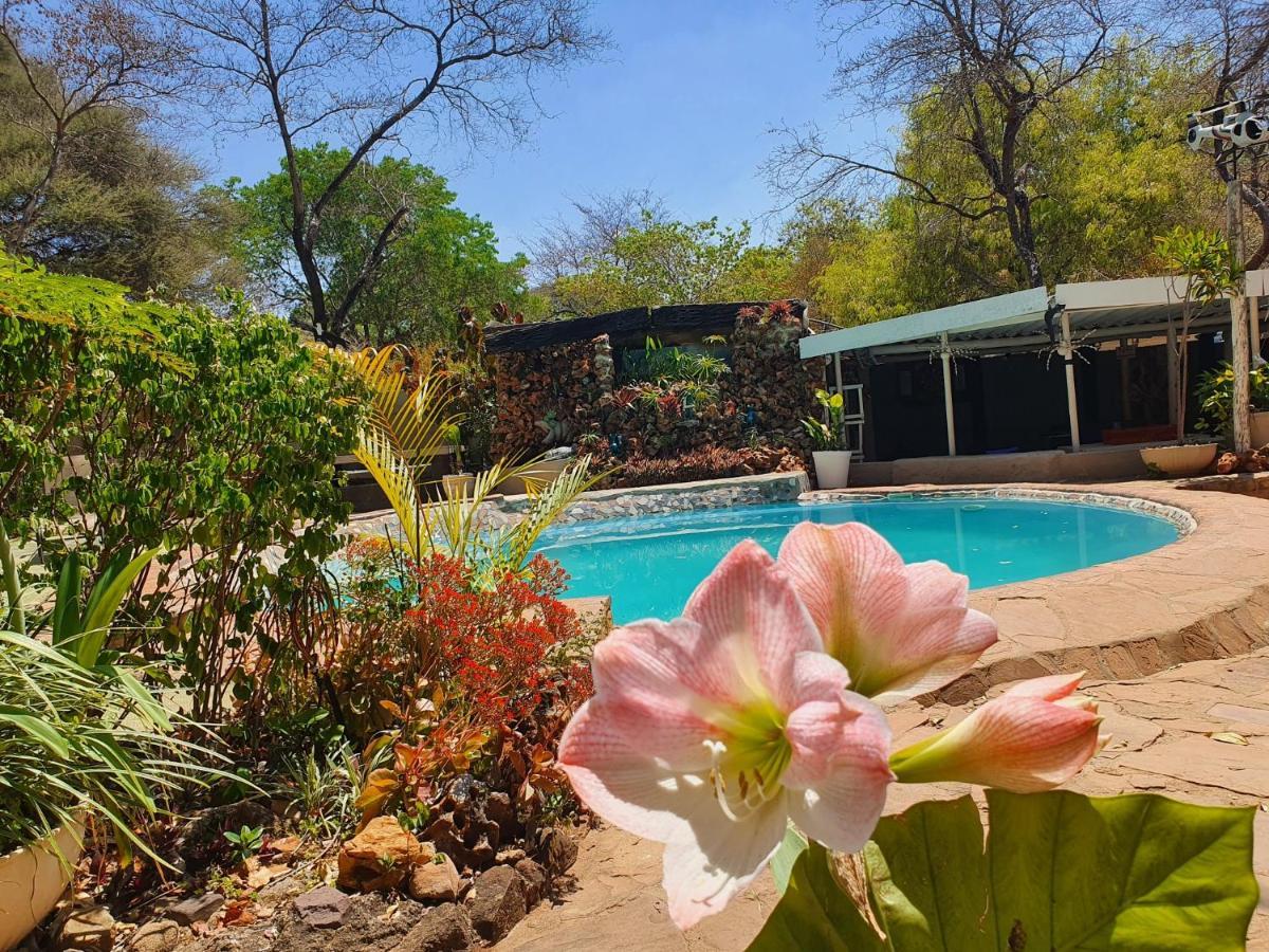 Victoria Falls Backpackers Lodge Екстериор снимка