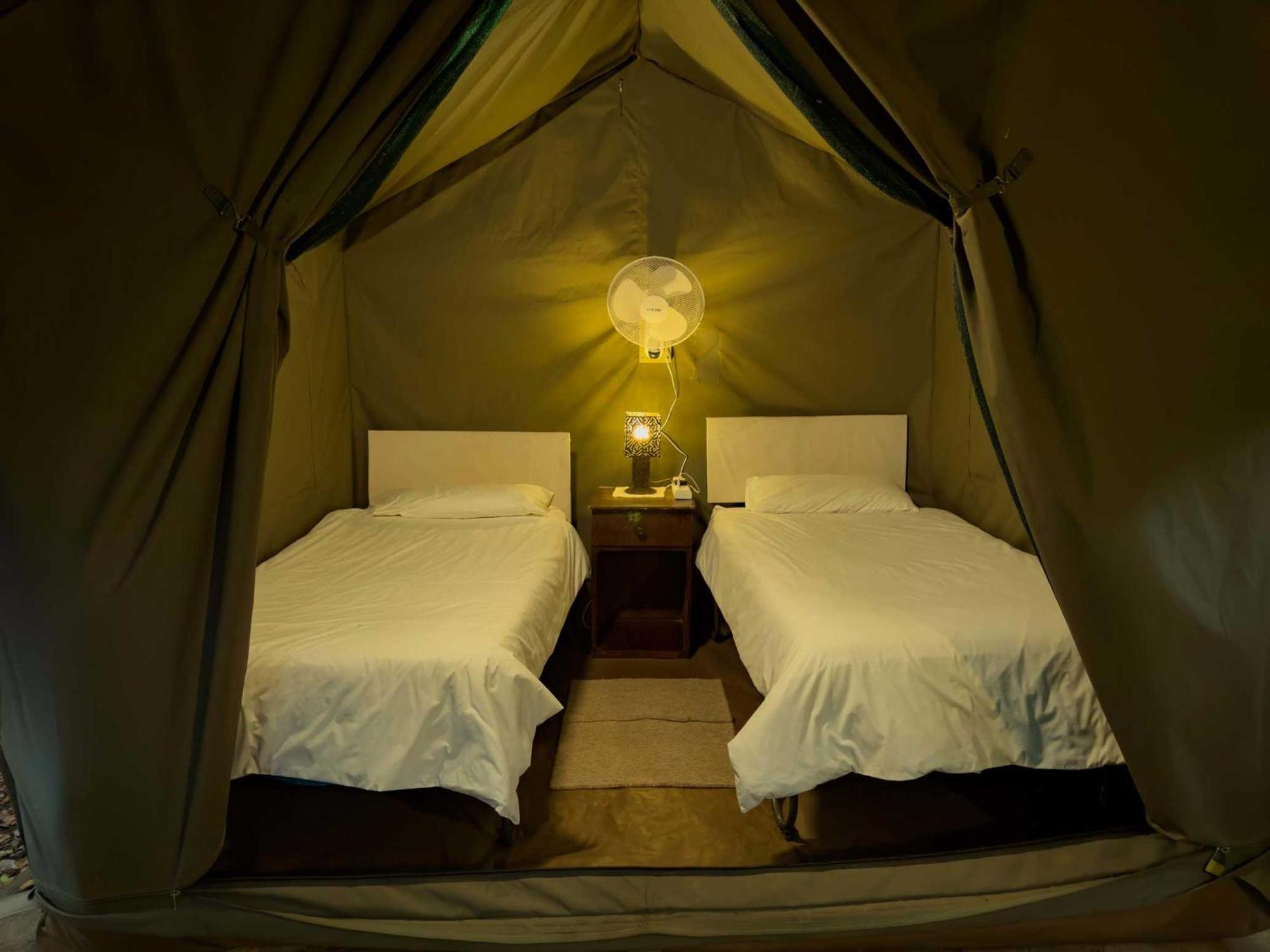 Victoria Falls Backpackers Lodge Екстериор снимка