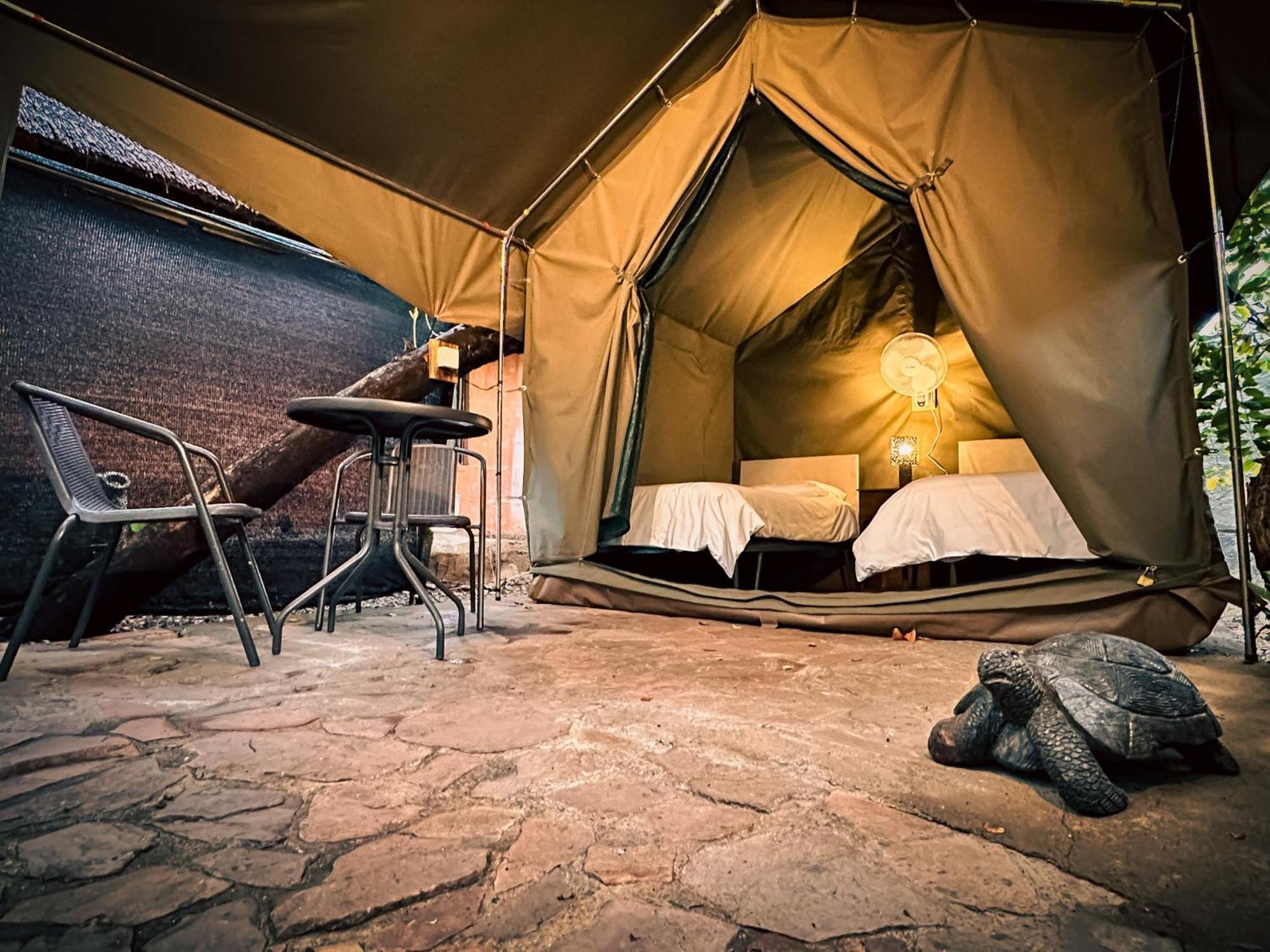 Victoria Falls Backpackers Lodge Екстериор снимка