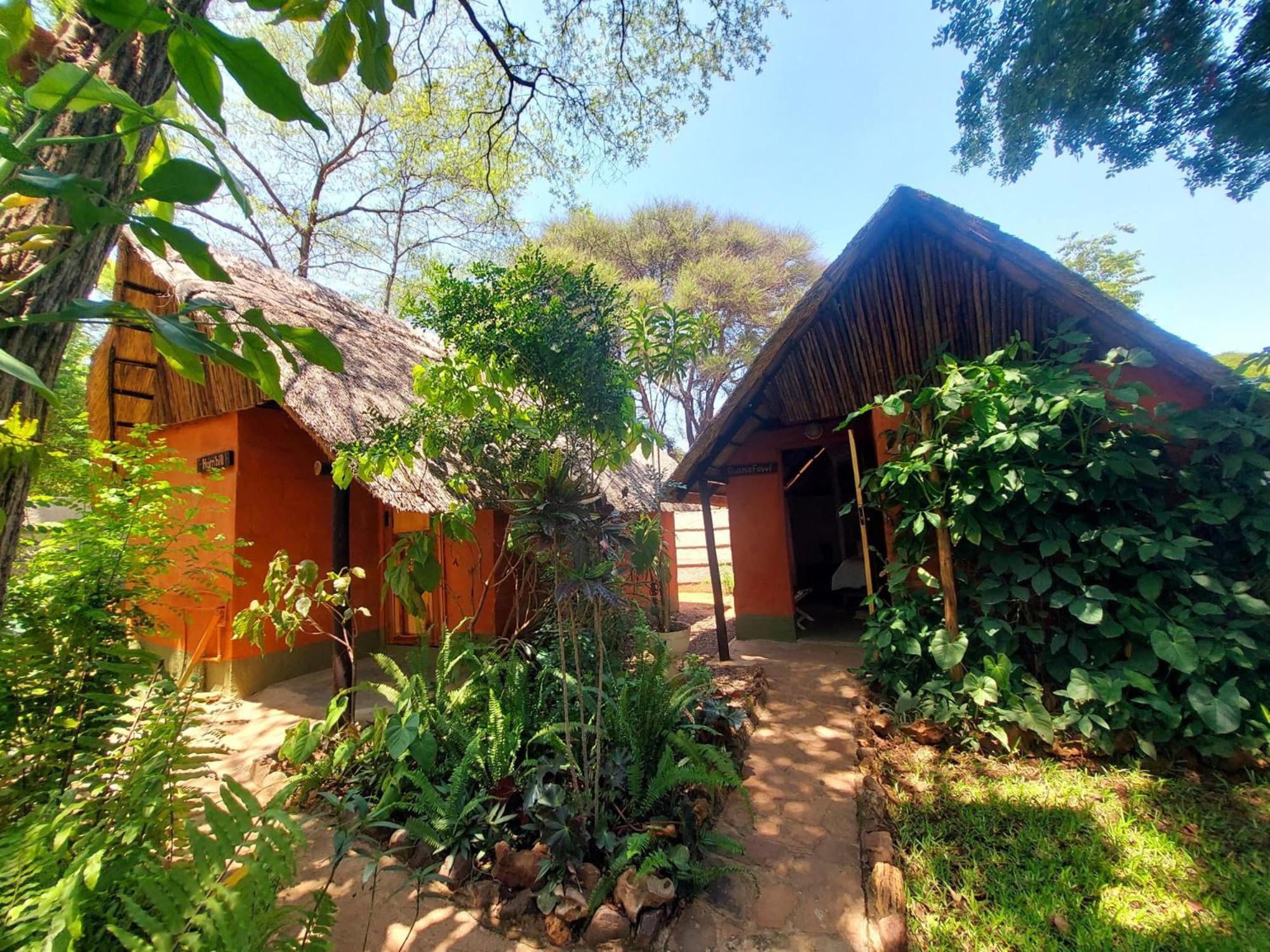Victoria Falls Backpackers Lodge Екстериор снимка