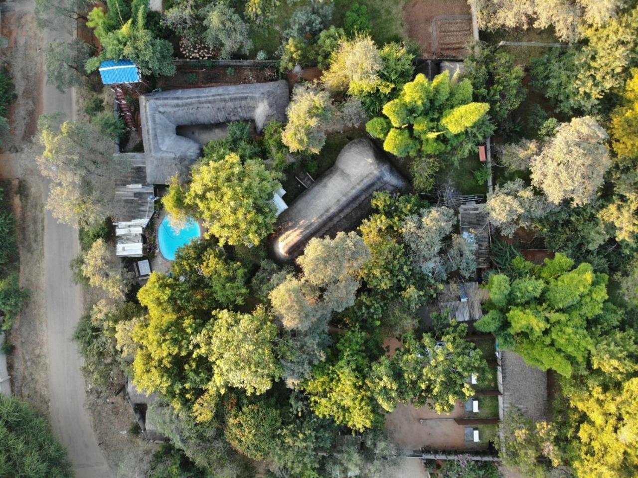 Victoria Falls Backpackers Lodge Екстериор снимка